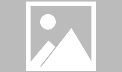 乐鱼网官网入口-汲取奋进力量 砥砺拼搏备战|中国奥运代表团|洛杉矶奥运会|游泳世锦赛|米兰冬奥会|汤尤杯